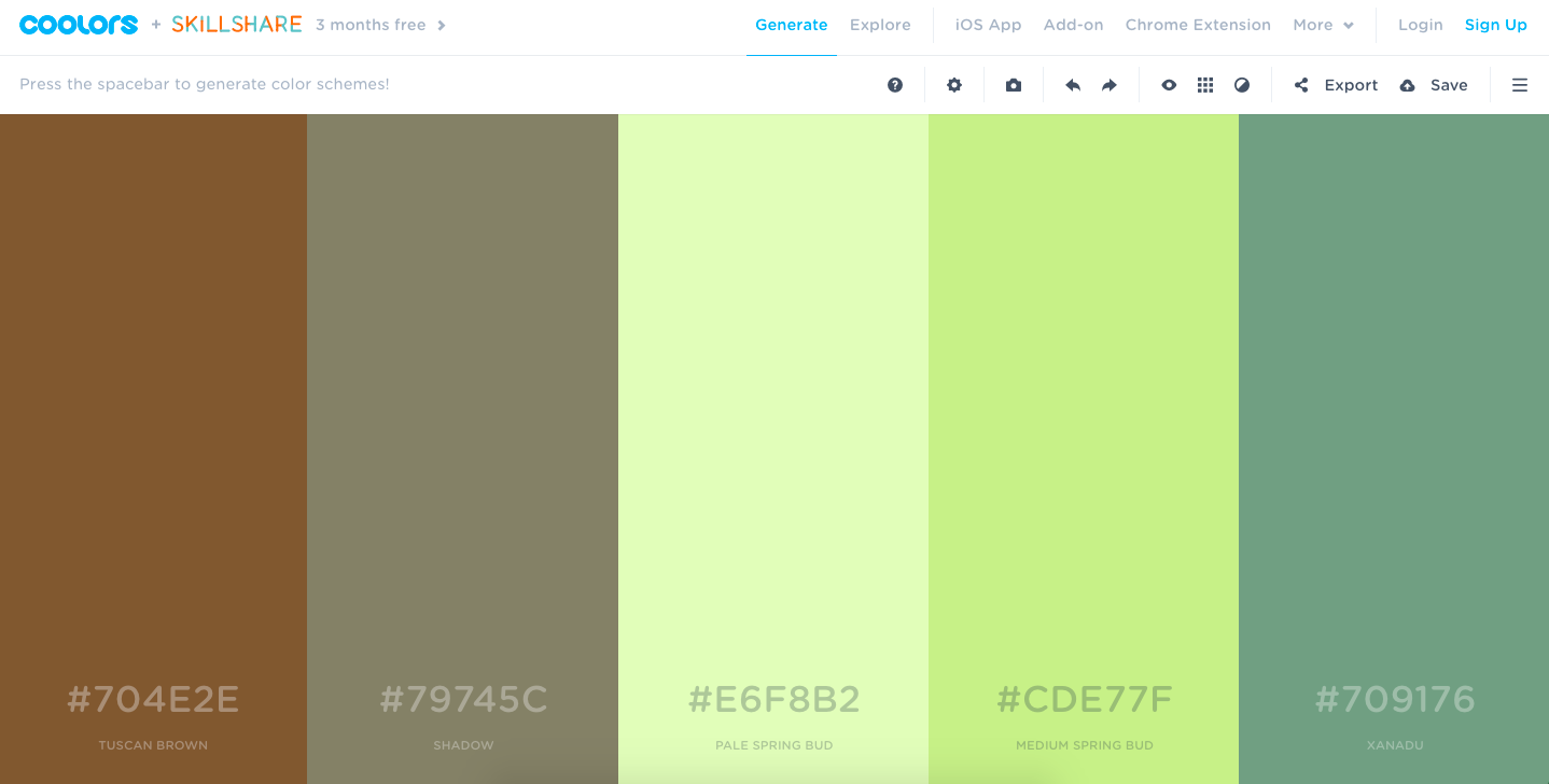 Coolors: choosing color schemes
